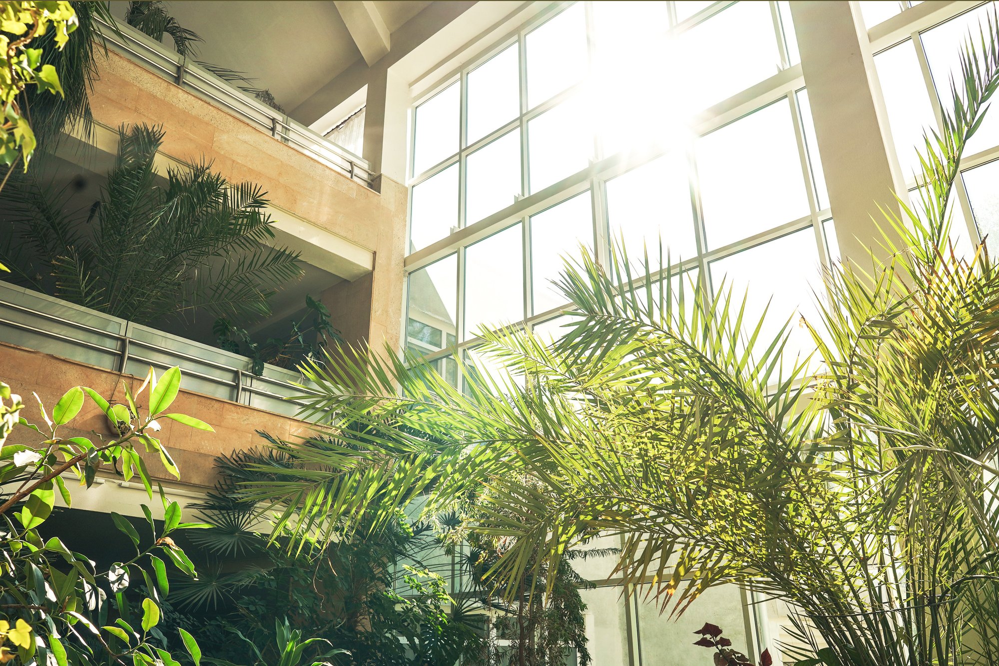 Biophilic_design1